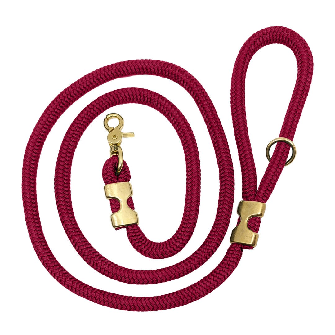COASTAL - Laisse K9 Explorer Bright en corde tressée pour chien COASTAL - Laisse K9 Explorer Bright en corde tressée pour chien
