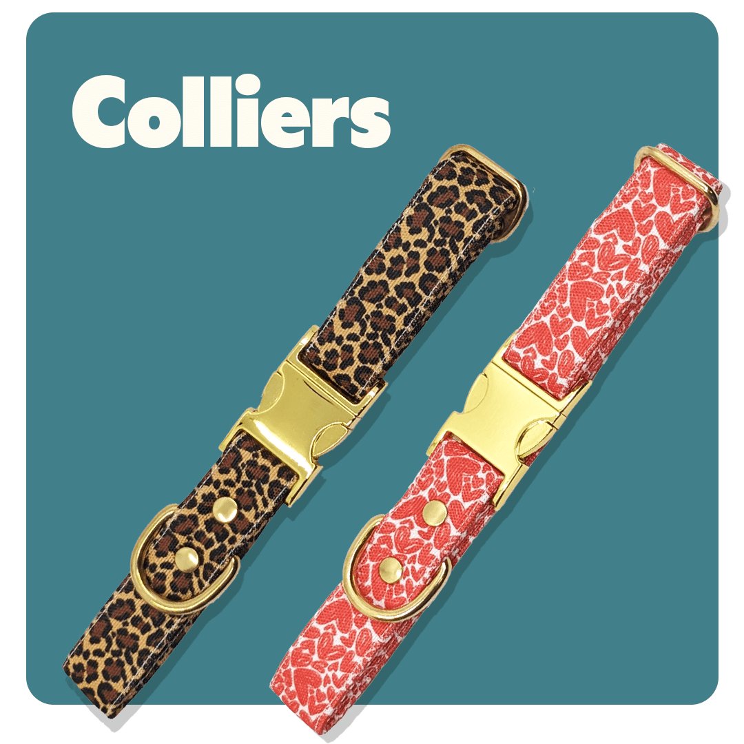 Colliers pour chien originaux fabriqués en France