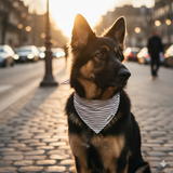 Bandana pour chien Le Rayé kaki