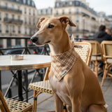 Bandana pour chien Le Tartan chocolat