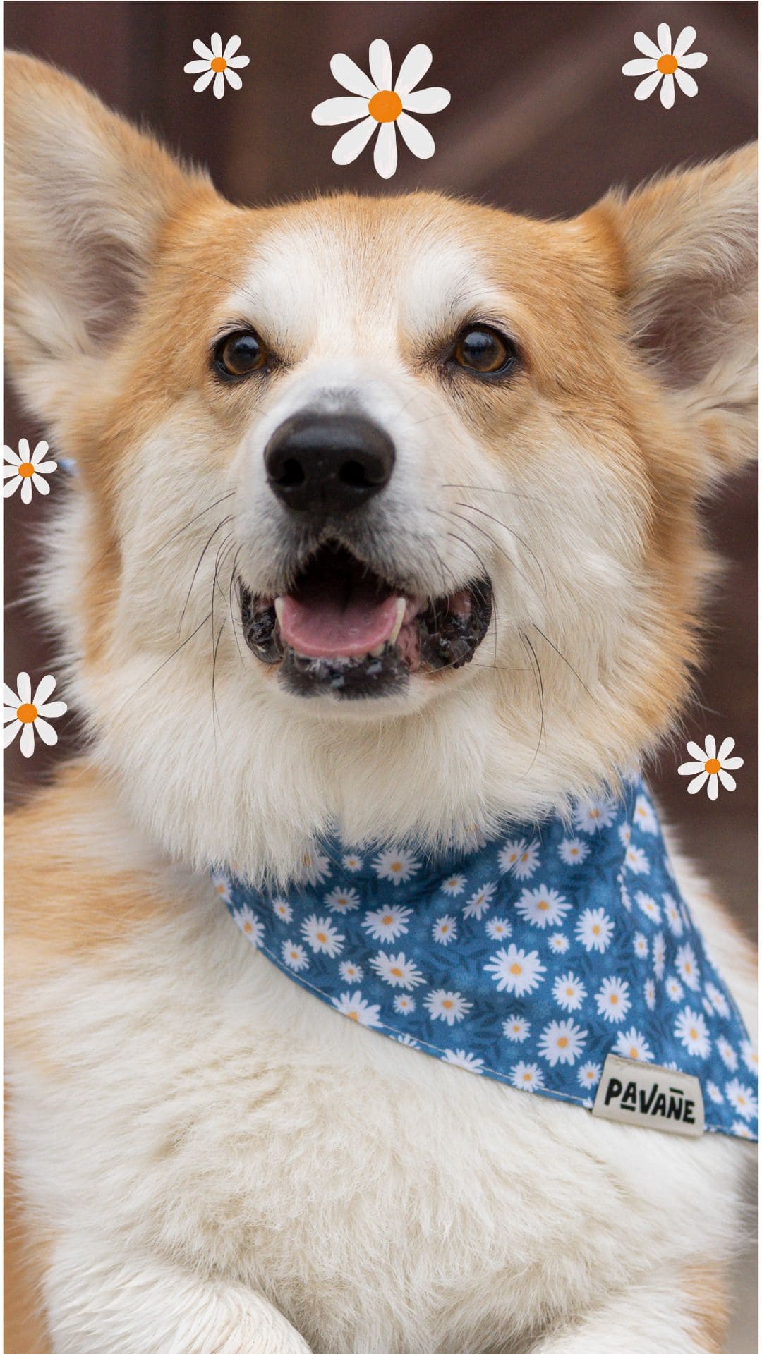 Flower Power