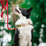 Collier pour chien Le Fleuri