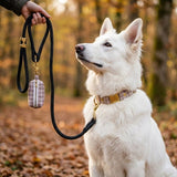 Kit Le Tartan chocolat - Laisse noire