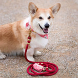 Laisse pour chien corde - Rouge